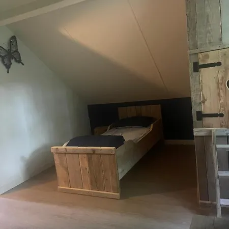 Nice 3-bedroom House With Lake View Ewijk