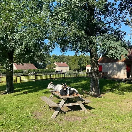 Nice 3-bedroom House With Lake View Ewijk